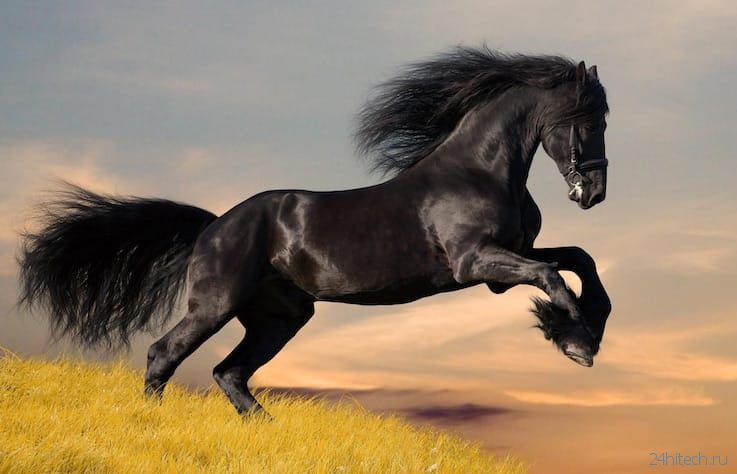 Что такое лошадиная сила и сколько лошадиных сил в одной лошади?