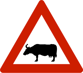 Traffic sign of Norway: Warning for cattle on the road