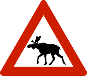 Traffic sign of Norway: Warning for moose on the road