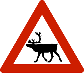 Traffic sign of Norway: Warning for reindeer on the road